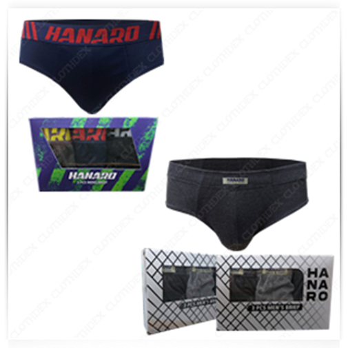 New Hanaro Series